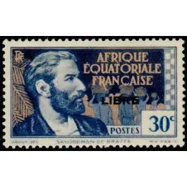 Top Qualité Timbre de collection AEF - 104