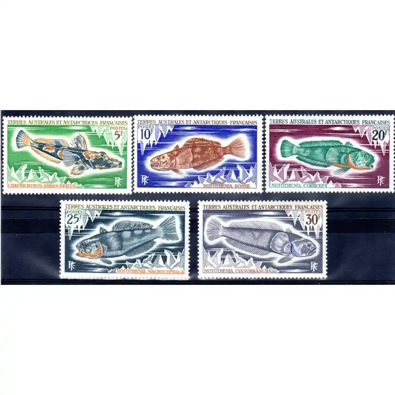 Timbres TAAF n°34 à 38 Expédié Aujourd’hui