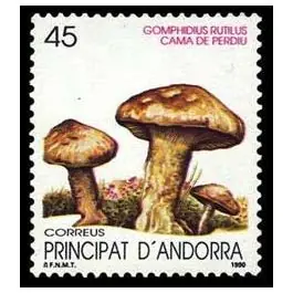 Offre Exclusive Timbre de collection Andorre Espagnol - 206