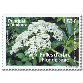 Timbre de collection Andorre Espagnol - 503 Exclusif