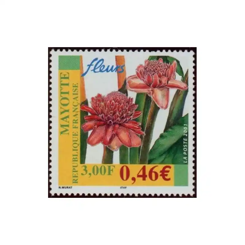 Timbre Mayotte n°107 Exclusif