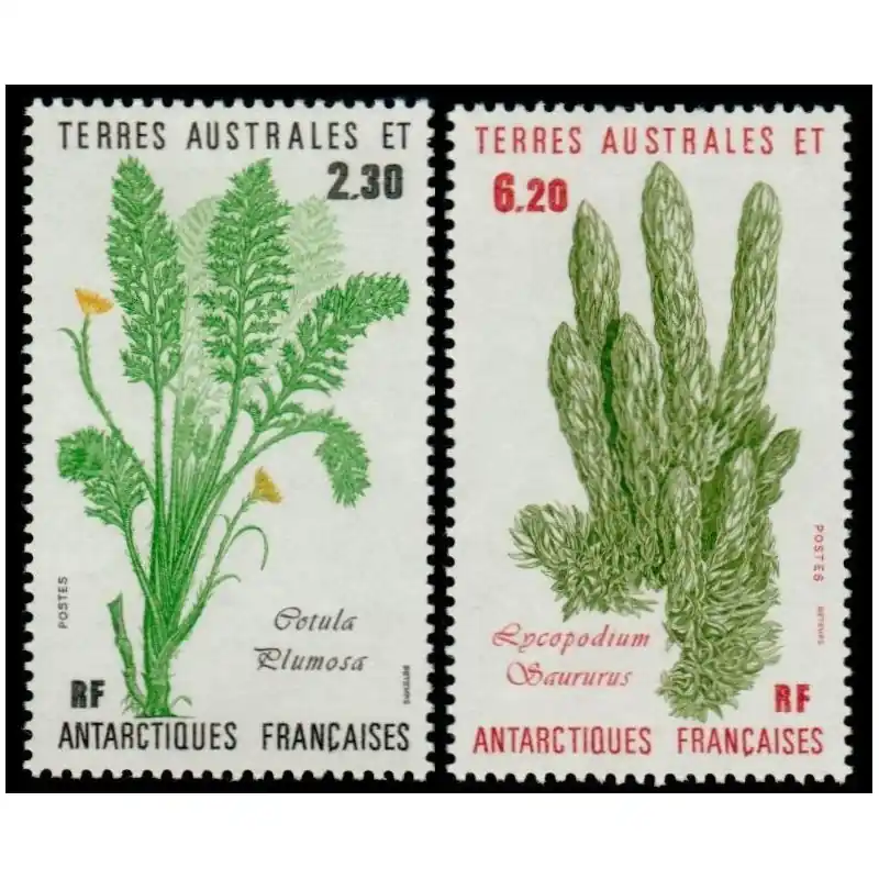 Timbres TAAF n°118 et 119 Commander Maintenant