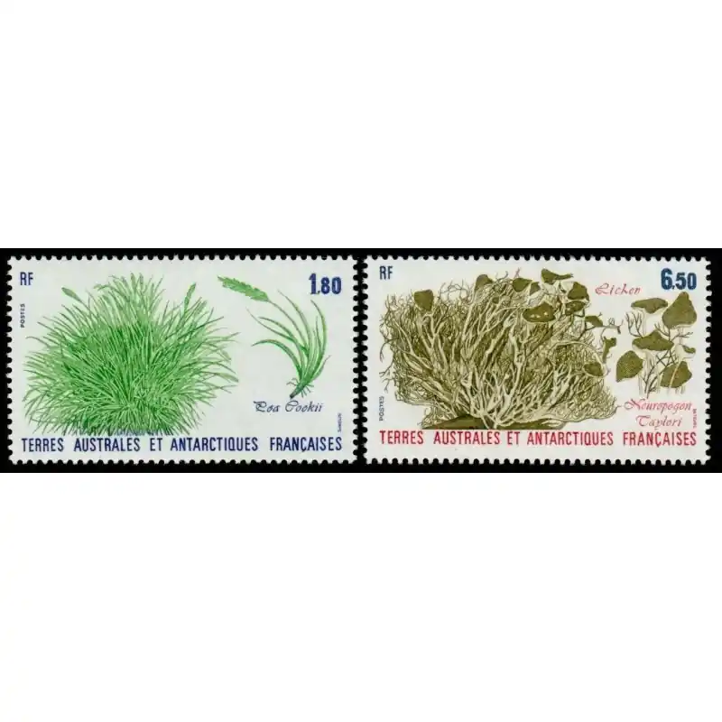 Bon Plan Timbres TAAF n°125 et 126