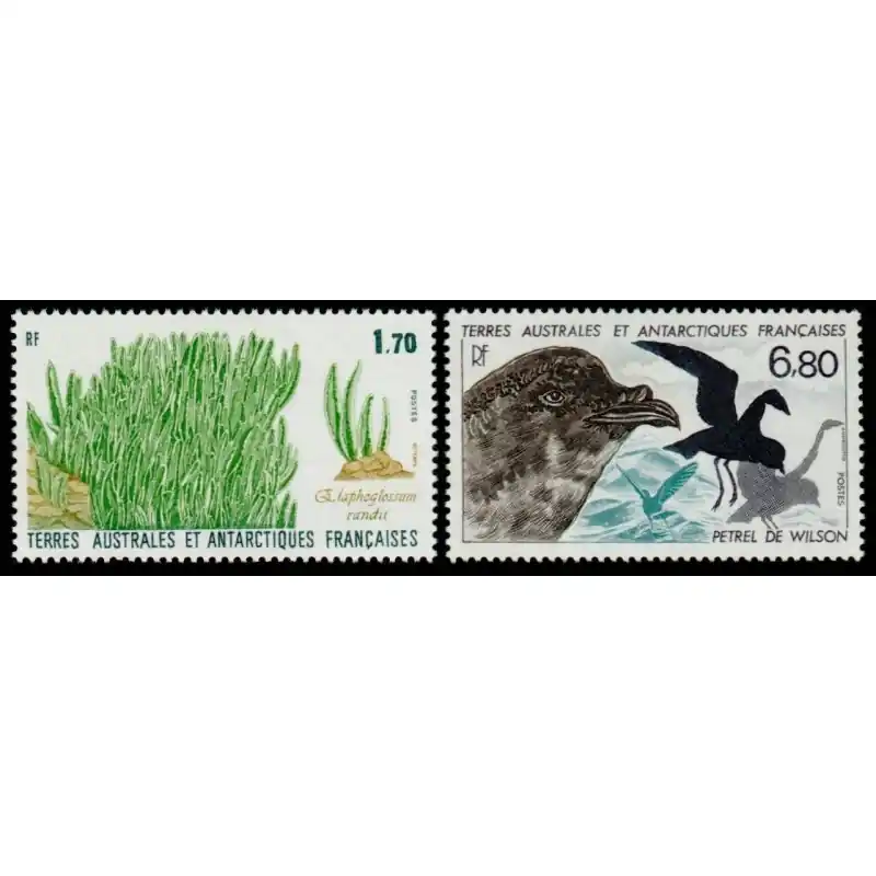 Timbres TAAF n°131 et 132 Meilleur Choix