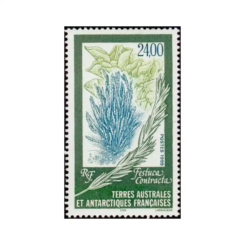 Timbres TAAF n°244 Bon Marché