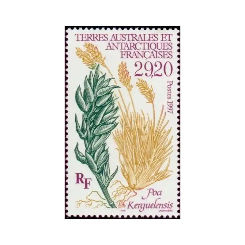 Usine Directe Timbres TAAF n°220