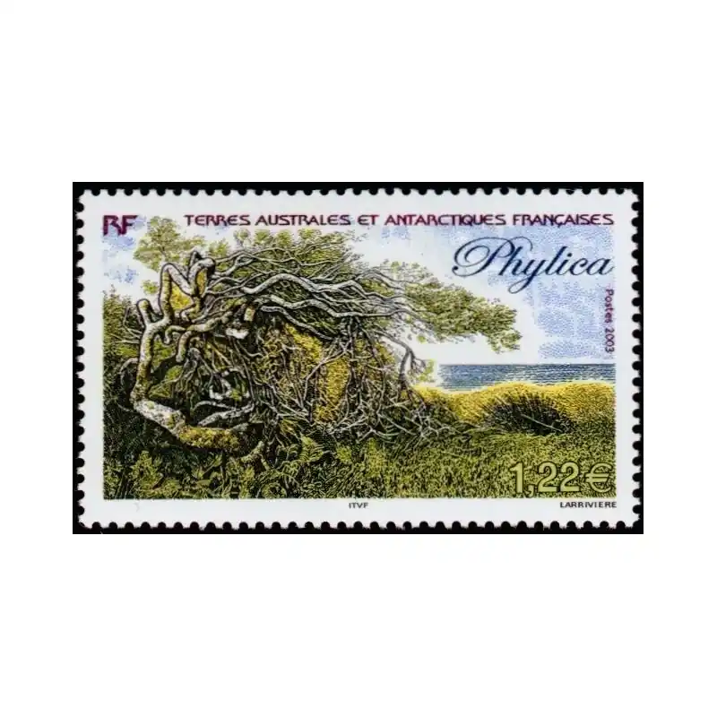 Timbres TAAF n°363 Prix Cassé