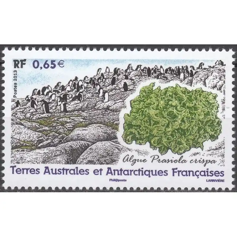 Certifié Timbre TAAF n°648