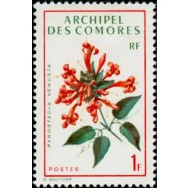 Édition Limitée Timbre de collection Comores - 069
