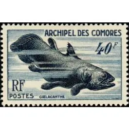 Timbre de collection Comores - 013 Acheter En Ligne