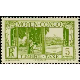 Meilleur Choix Timbre de collection Congo - Taxe 23