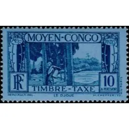 Produit De Marque Timbre de collection Congo - Taxe 24