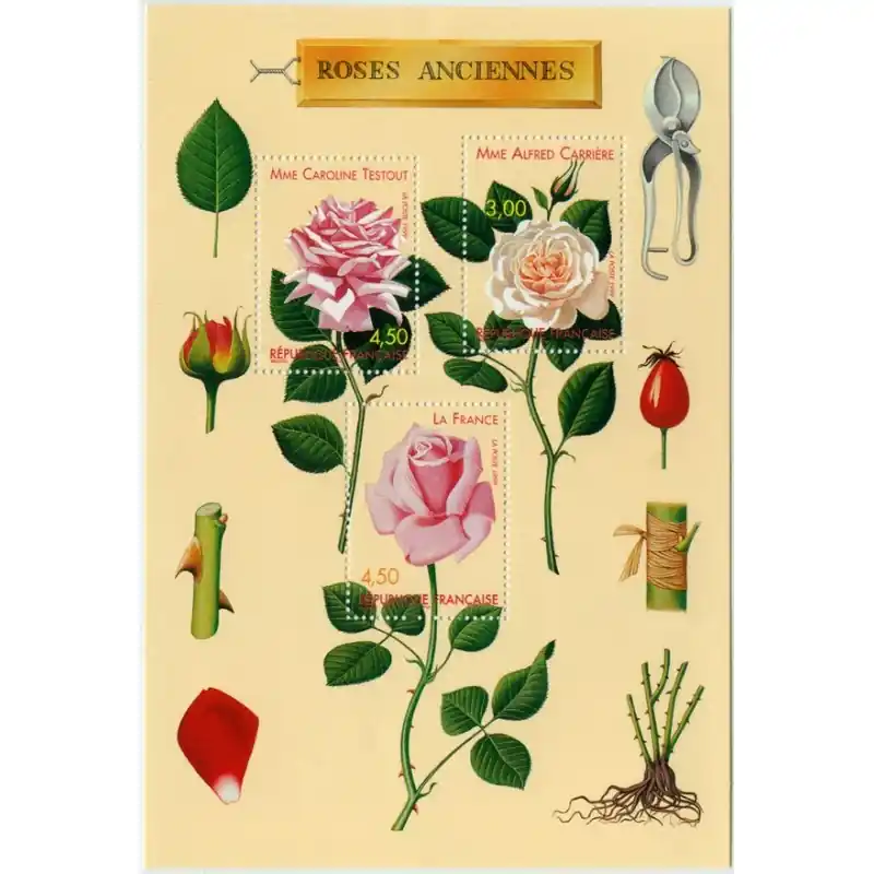 France Bloc Feuillet n°24 Remise