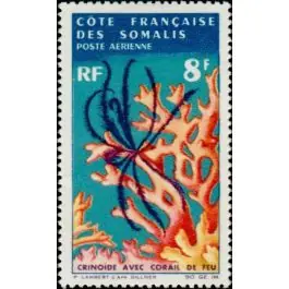 Bon Plan Timbre de collection Cote des Somalies - Poste Arienne 49