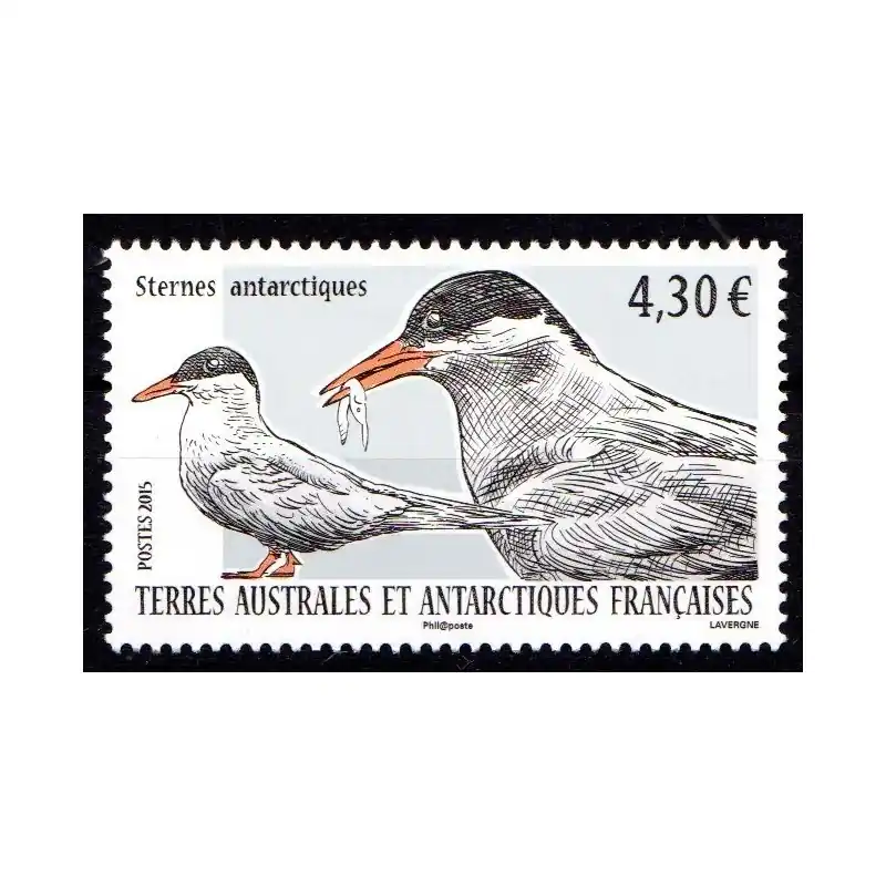 Timbre TAAF n°725 Sterne antarctique Promotion