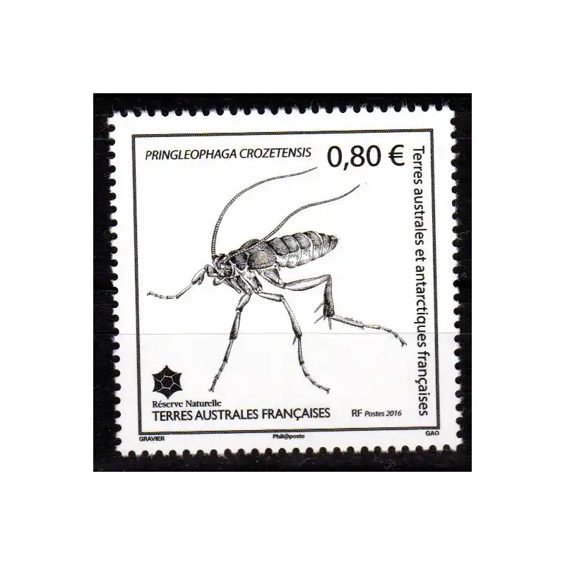 Timbre TAAF n°766 Insecte de l'île de la Possession Satisfait Ou Remboursé