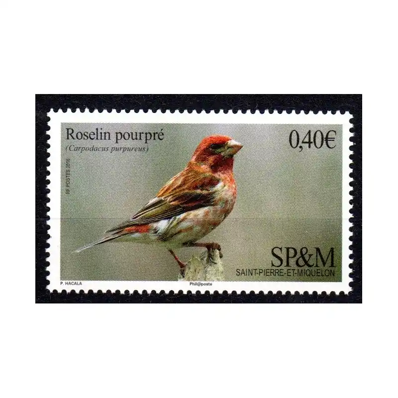 Prix Réduit Timbre Saint-Pierre et Miquelon n°1148 Roselin pourpré