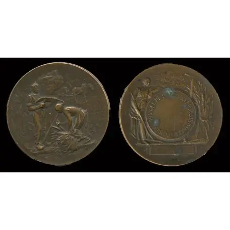 Médaille bronze : Scène paysanne - Moisson - St Dié Gros Lot