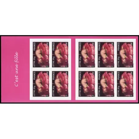 Timbre France N° BC3804 neuf sans charnière Offre Du Jour