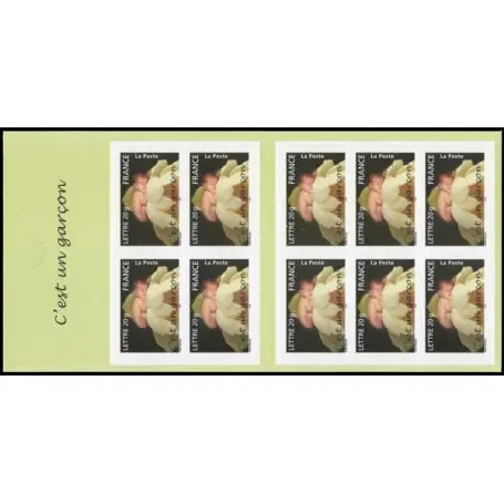 Timbre France N° BC3805 neuf sans charnière Marque