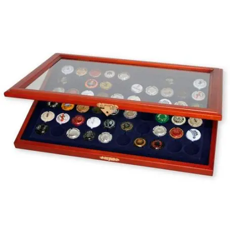 Muselet champagne superbe vitrine Safe 5865 Satisfait Ou Remboursé