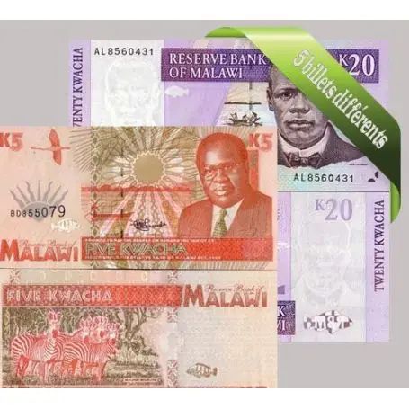 Livraison Mondiale Belle collection de 5 billets de banque tous différents de Malawi