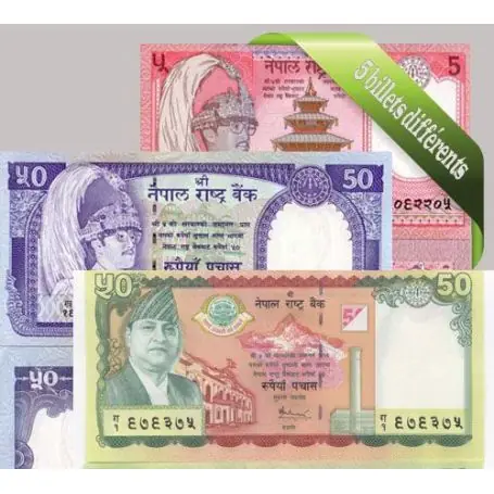 Exclusif Nepal : Bel ensemble de 5 billets de banque de collection.