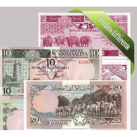Belle collection de 5 billets de banque tous différents de Somalie Livraison Gratuite