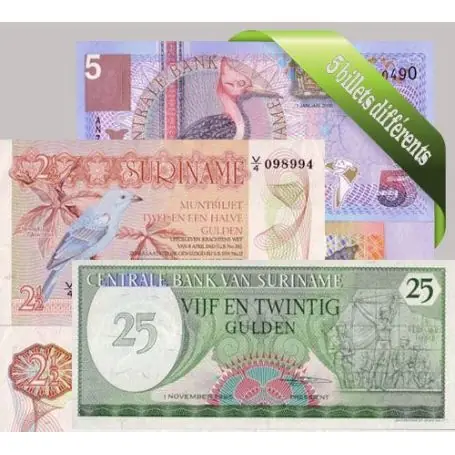 Meilleure Qualité Suriname : Bel ensemble de 5 billets de banque de collection.