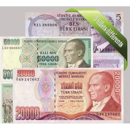 En Vogue Turquie - Collection de 5 billets de banque tous différents.