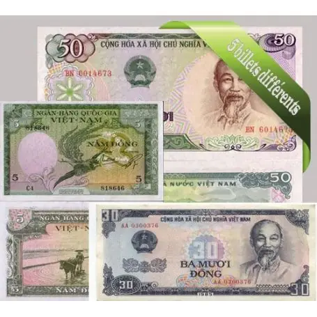 En Vogue Vietnam : Bel ensemble de 5 billets de banque de collection.