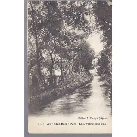 Satisfait Ou Remboursé Carte postale 01 - Divonne les bains - La divonne sous bois