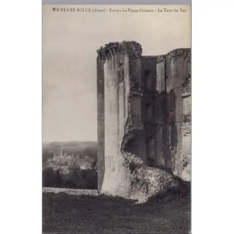 Livraison Gratuite Carte postale 02 - La Ferte-Millon - Ruines du vieux chateau - La tour du Roi - Non voyage...