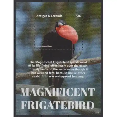 Antigua et Barbuda - 2022 - No BF830 - Oiseaux Meilleure Vente