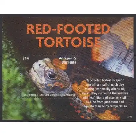 Acheter En Ligne Antigua et Barbuda - 2023 - No BF837 - Tortues
