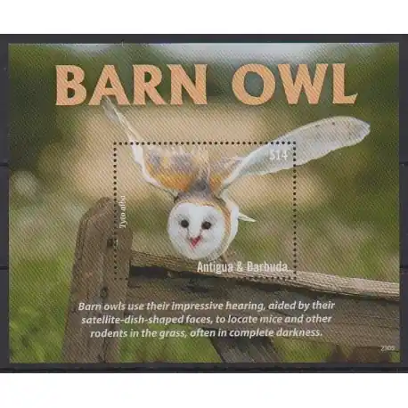 Marque Antigua et Barbuda - 2023 - No BF836 - Oiseaux