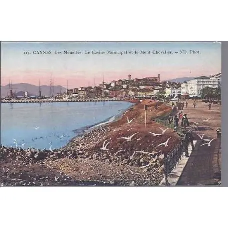 Carte postale 06 - Cannes - Les mouettes - Le casino Meilleur Choix