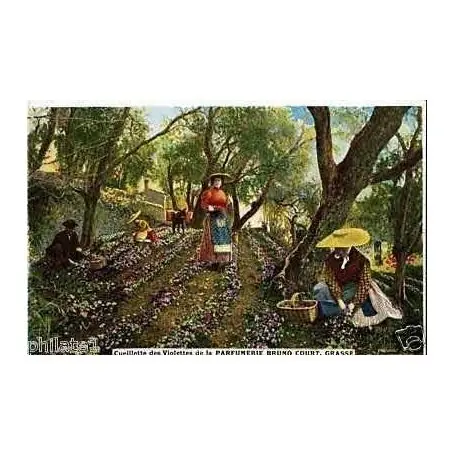 Offre Limitée Carte postale 06 - Cueillettes des violettes a la parfumerie Bruno
