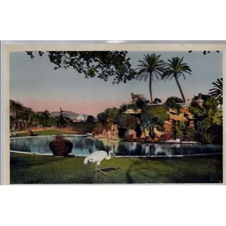 Gros Lot Carte postale 06 - Nice - La grotte - Jardins Albert 1er - Voyage - Dos divise...