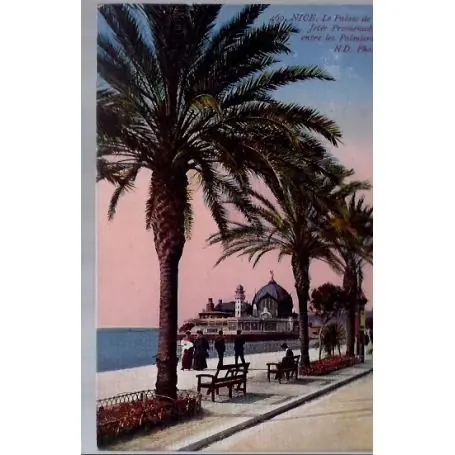 Carte postale 06 - Nice - Le Palais de la Jetee Promenade entre les palmiers - Non voyage ... Prix Promo