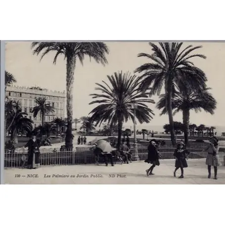 Carte postale 06 - Nice - Les palmiers au jardin Public - Non voyage - Dos divise... Authentique