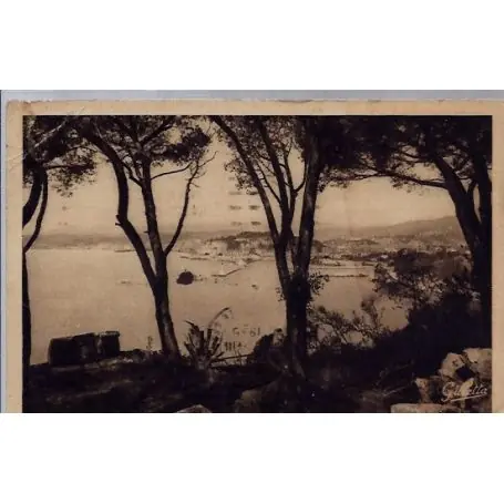 Expédition Rapide Carte postale 06 - Nice - Vue entre les Pins - Voyage - Dos divise...