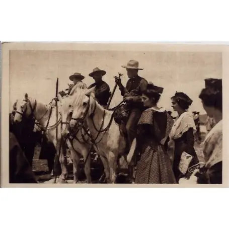 Carte postale 13 - En provence - Les gardians de camargue montes sur leurs cavales blanche... Meilleur Prix
