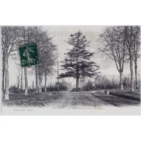 Seulement Aujourd’hui Carte postale 14 - Balleroy - Le sapin plante avant la revolution - Voyage - Dos divise...