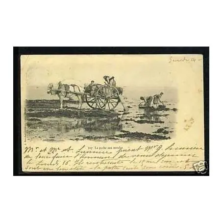 Carte postale 14 - La peche aux moules - Attelage sur la plage Acheter Direct