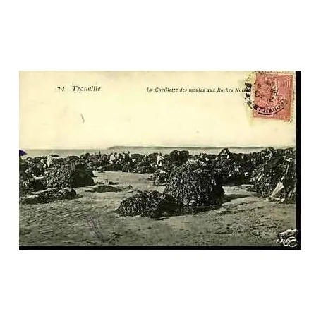 Offre Exclusive Carte postale 14 - Trouville -Cueillette des molues aux Roches Noires