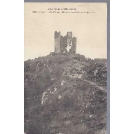 Premium Carte postale 15 - St-Flour - Ruines du chateau d'Alleuse