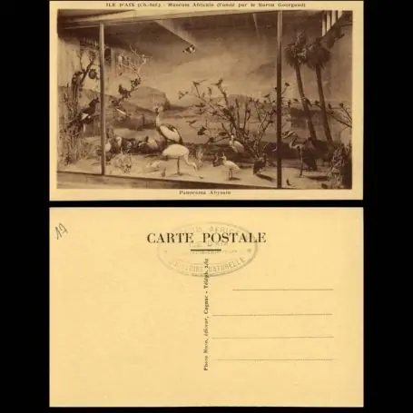 Carte postale 17 - Ile d'Aix - Museum Africain - Panorama abyssin Affaire À Saisir