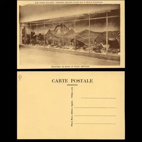 Meilleure Vente Carte postale 17 - Ile d'Aix - Museum Africain - Panorama du Kenya