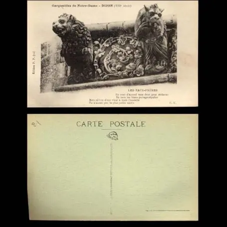 Top Qualité Carte postale 21 - Dijon - Gargouilles de Notre dame - Les Faux-Freres